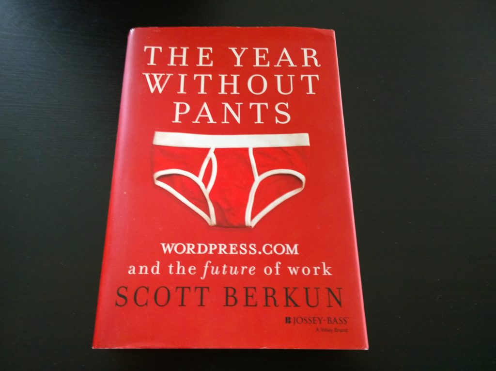 Livre The Year Without Pants